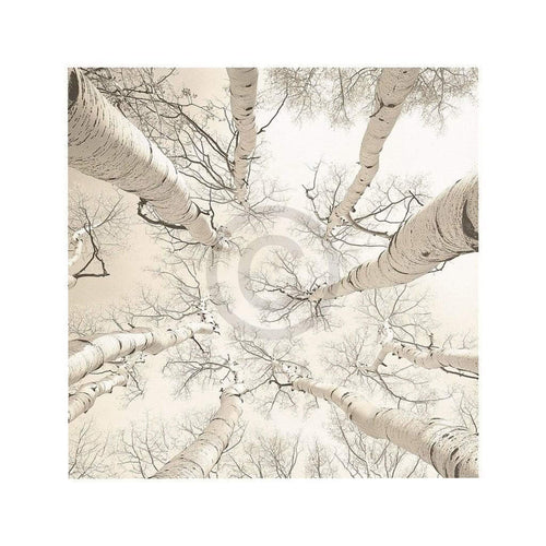 Adam Brock Silver Birch Kunstdruk 51x51cm | Yourdecoration.be