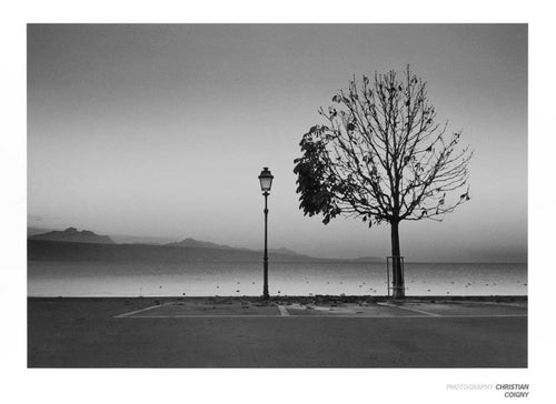 Christian Coigny Lutry Lac Lemon Kunstdruk 80x60cm | Yourdecoration.be