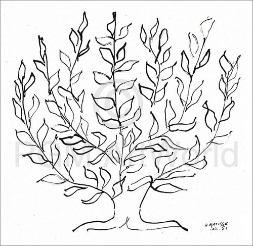 Henri Matisse Le platane Kunstdruk 100x100cm | Yourdecoration.be