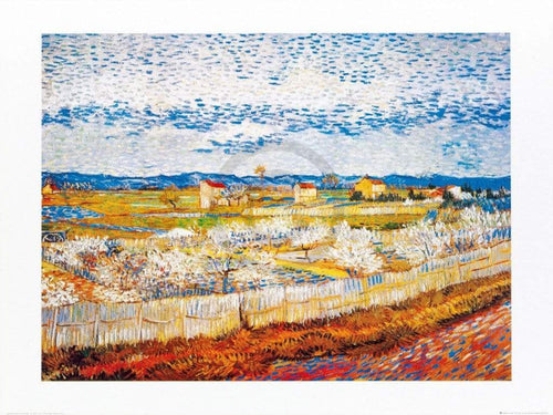 Vincent Van Gogh Pesco in fiore Kunstdruk 80x60cm | Yourdecoration.be