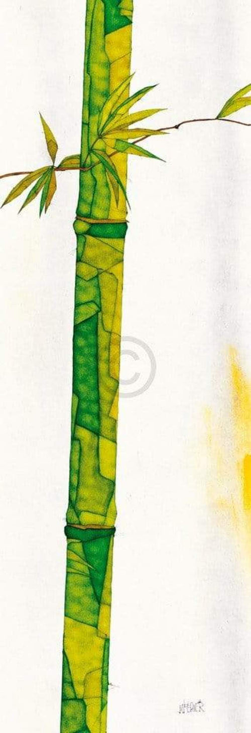 Michael Ferner Bambus Duo II Kunstdruk 34x99cm | Yourdecoration.be