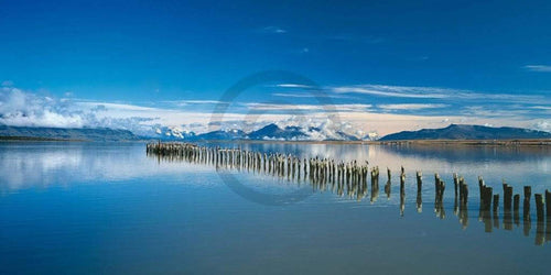 Popp Hackner Kormoräne Kunstdruk 100x50cm | Yourdecoration.be