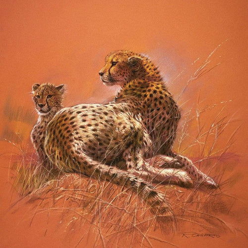 Renato Casaro Cheetah Mother Kunstdruk 50x50cm | Yourdecoration.be
