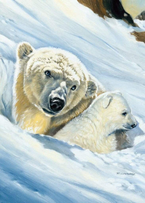 Renato Casaro Eisbär Mama Kunstdruk 50x70cm | Yourdecoration.be