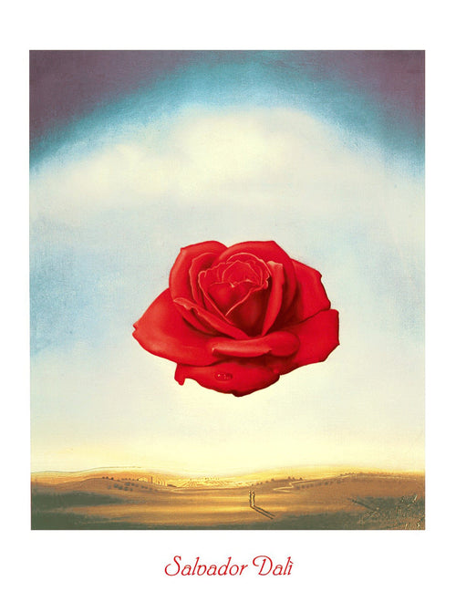 Salvador Dali Rose meditative Kunstdruk 60x80cm | Yourdecoration.be