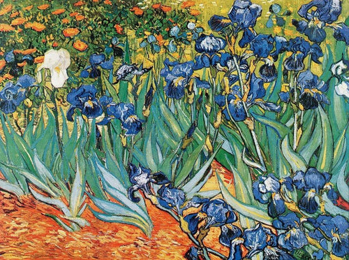 Vincent Van Gogh Iris Kunstdruk 80x60cm | Yourdecoration.be