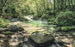 Komar Tranquil Pool Vlies Fotobehang 400x250cm 4 banen | Yourdecoration.be