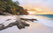 Komar Nature Vlies Fotobehang 400x250cm 4 banen | Yourdecoration.be