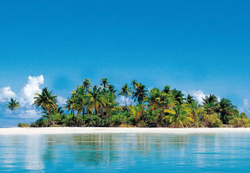 Wizard+Genius A Perfect Day Fotobehang 366x254cm | Yourdecoration.be