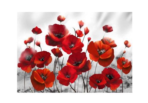 Fotobehang - Poppies in the Moonlight - Vliesbehang