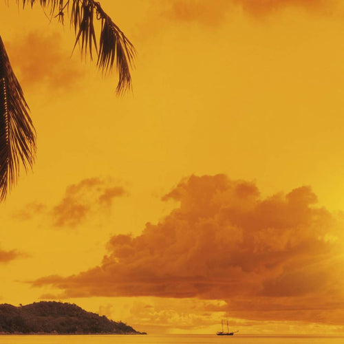 Komar Sunset Fotobehang 368x254cm | Yourdecoration.be