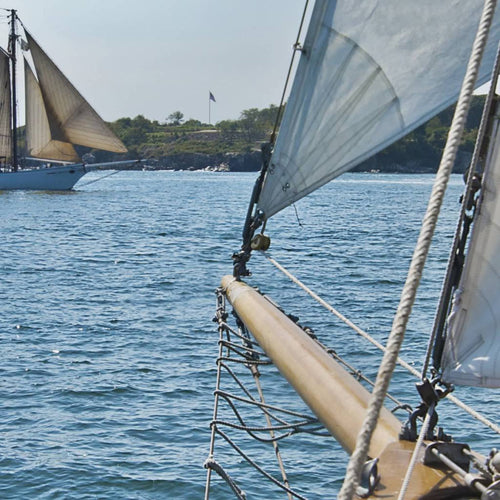 Komar Sailing Fotobehang National Geographic 368x254cm | Yourdecoration.be