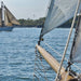 Komar Sailing Fotobehang National Geographic 368x254cm | Yourdecoration.be