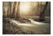 Fotobehang - Forest Cascade - Vliesbehang