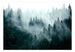 Fotobehang - Mountain Forest Dark Green - Vliesbehang