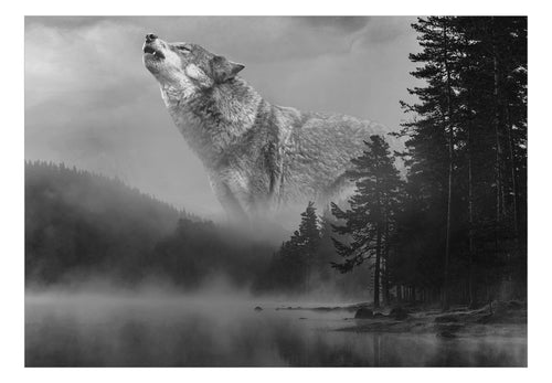 Fotobehang - Forest Secrets - Vliesbehang