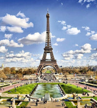 Dimex Paris Fotobehang 225x250cm 3 banen | Yourdecoration.be