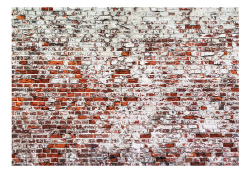 Fotobehang - Her Highness the Brick - Vliesbehang