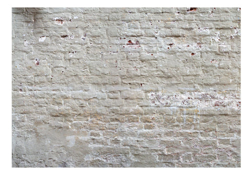 Fotobehang - Hidden Harmony - Vliesbehang
