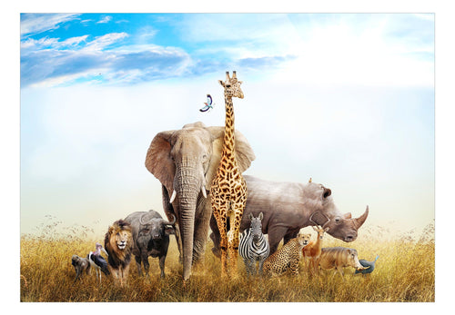 Fotobehang - Fauna of Africa - Vliesbehang