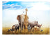 Fotobehang - Fauna of Africa - Vliesbehang
