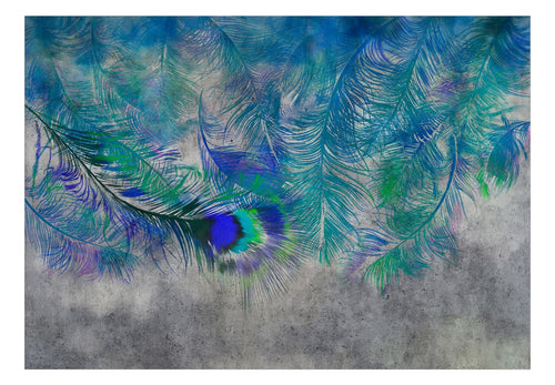 Fotobehang - Peacock Feathers - Vliesbehang