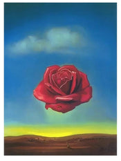 Kunstdruk Salvador Dali Rose Meditative 60x80cm SD 883 | Yourdecoration.be