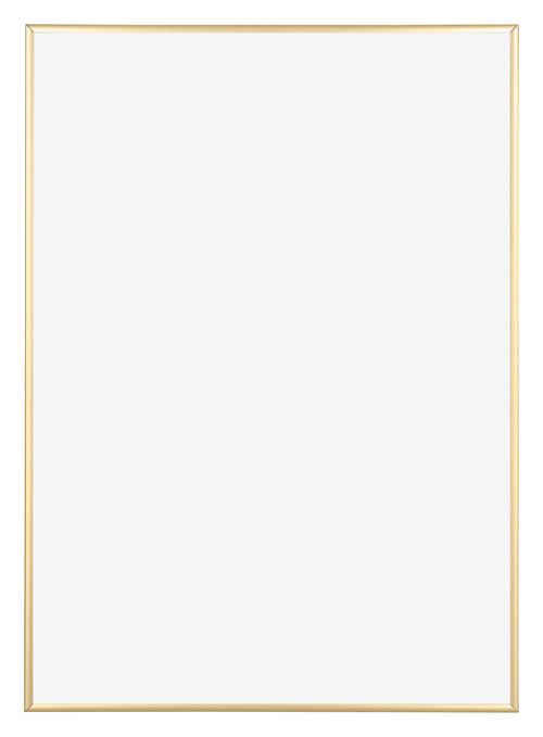 Kent Aluminium Fotokader 59 4x84cm A1 Goud Voorzijde | Yourdecoration.be
