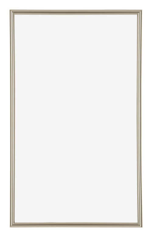 Annecy Kunststof Fotokader 30x50cm Champagne Voorzijde | Yourdecoration.be