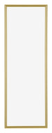 Annecy Kunststof Fotokader 33x98cm Goud Voorzijde | Yourdecoration.be