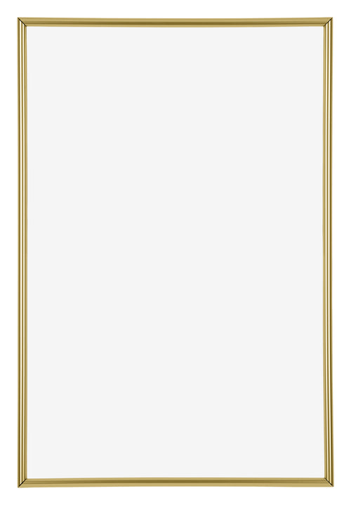 Annecy Kunststof Fotokader 62x93cm Goud Voorzijde | Yourdecoration.be