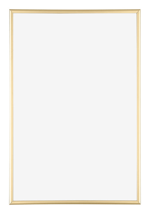 Kent Aluminium Fotokader 60x85cm Goud Voorzijde | Yourdecoration.be