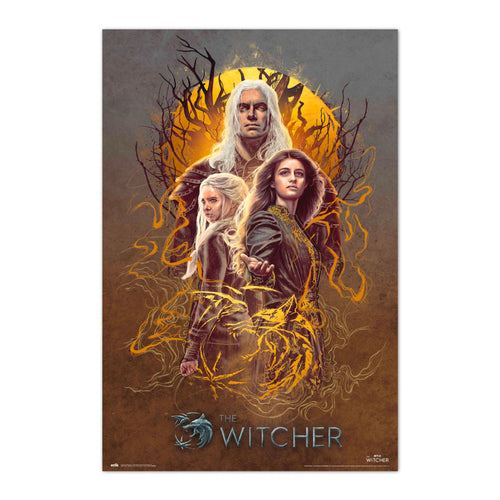 Grupo Erik Gpe5586 Poster The Witcher 2 Grupo | Yourdecoration.be