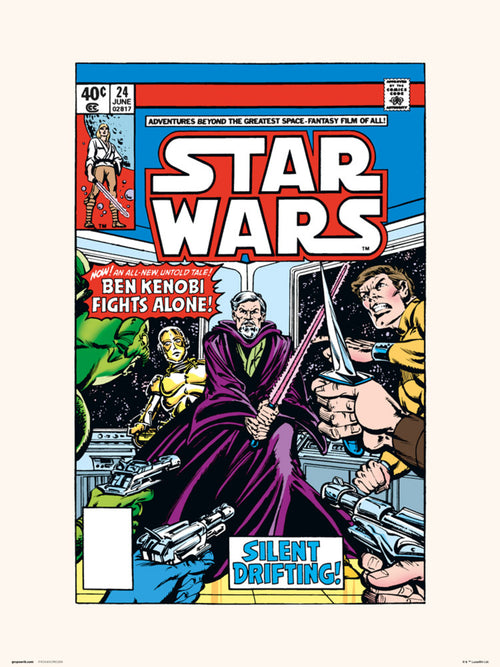 Grupo Erik Star Wars 24 Silent Drifting Kunstdruk 30X40cm | Yourdecoration.be