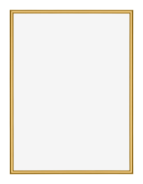 New York Aluminium Fotokader 45x60cm Goud Glanzend Voorzijde | Yourdecoration.be