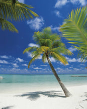 Komar Ari Atoll Fotobehang 184x254cm | Yourdecoration.be