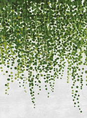 Wizard+Genius Hanging Plants Vlies Fotobehang 192x260cm 4 banen | Yourdecoration.be