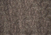 Wizard+Genius Bark Wall Vlies Fotobehang 384x260cm 8 banen | Yourdecoration.be