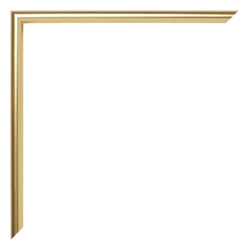 Annecy Kunststof Fotokader 46x61cm Goud Detail Hoek | Yourdecoration.be