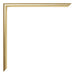 Annecy Kunststof Fotokader 46x61cm Goud Detail Hoek | Yourdecoration.be