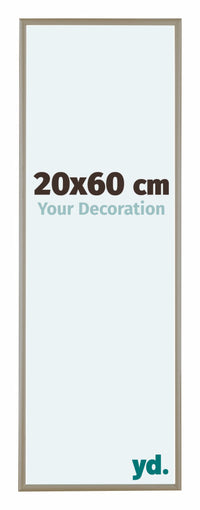 Austin Aluminium Fotokader 20x60cm Champagne Voorzijde Maat | Yourdecoration.be