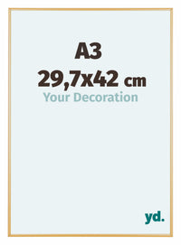 Austin Aluminium Fotokader 29 7x42cm A3 Goud Vintage Voorzijde Maat | Yourdecoration.be