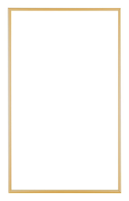 Austin Aluminium Fotokader 30x50cm Goud Vintage Voorzijde | Yourdecoration.be