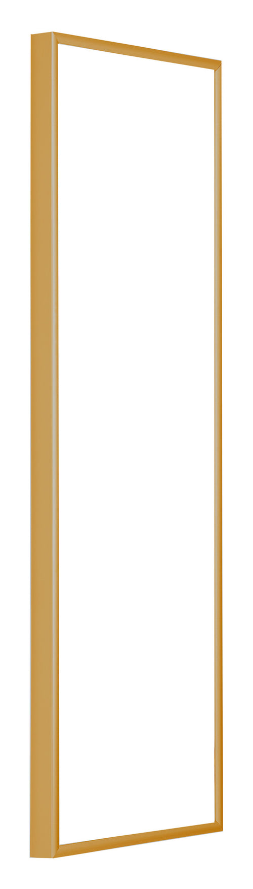 Austin Aluminium Fotokader 33x98cm Goud Vintage Voorzijde Schuin | Yourdecoration.be