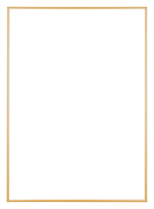 Austin Aluminium Fotokader 60x84cm Goud Vintage Voorzijde | Yourdecoration.be