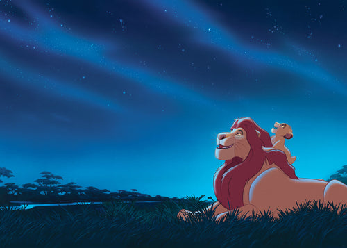 Disney The Lion King Stargazing Fotobehang DX7 197 | Yourdecoration.be