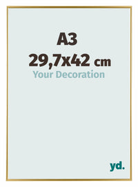 Evry Kunststof Fotokader 29 7x42cm A3 Goud Voorzijde Maat | Yourdecoration.be