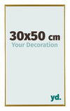 Evry Kunststof Fotokader 30x50cm Goud Voorzijde Maat | Yourdecoration.be