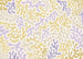 Fotobehang Sage Flip 350x250cm FLX7 016 | Yourdecoration.be