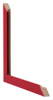 Fotokader 20x28cm Rood MDF Bologna Detail Doorsnede | Yourdecoration.be